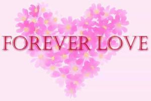 forever_love.jpg_480_480_0_64000_0_1_0